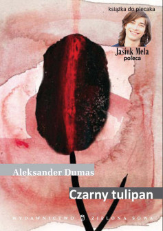 Czarny tulipan