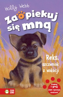 Reks, szczeniak z wakacji