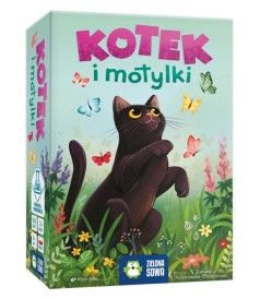 Kotek i motylki