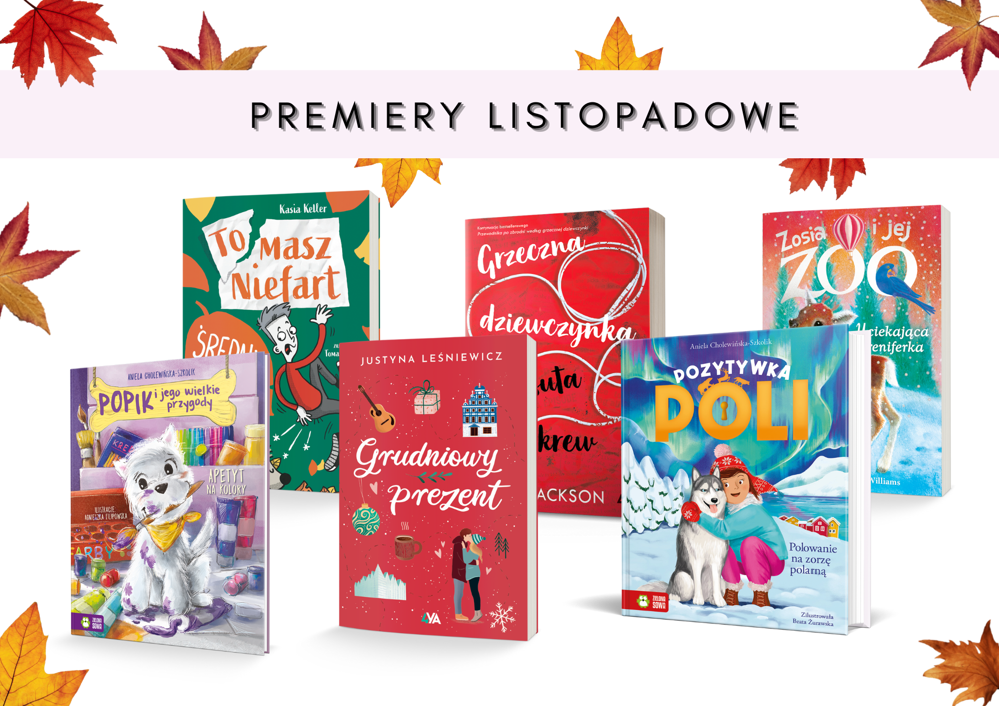 Co nowego w listopadzie? Oto nasze nowości!